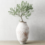 Olive European In Antique Vessels