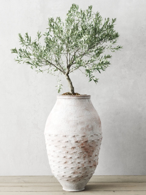 olive-european-in-antique-vessels-3d-model-max-obj-fbx