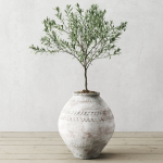 Olive European In Antique Vessels