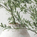Olive European In Antique Vessels