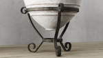 Olive European In Antique Vessels