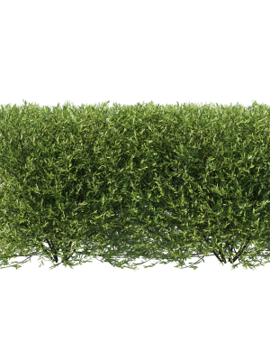 olive-little-ollie-bush-3d-model-b8e233db1a