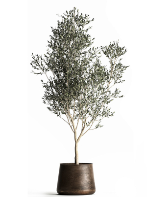olive-tree-in-a-flowerpot-for-the-interior-968-3d-model-max-obj-fbx