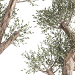 Olive tree in a rusty flowerpot for the interior 990