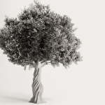 Olive Tree Set11
