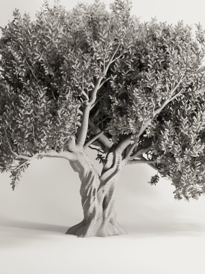 olive-tree-set12-3d-model-4547b794b0