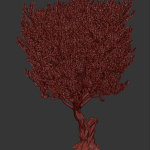 Olive Tree Set13