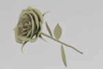 One Rose