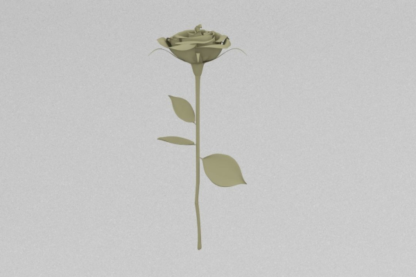 One Rose