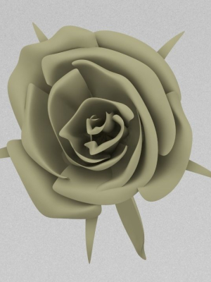 One Rose