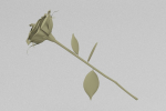 One Rose