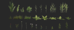 Optimized Nature Collection