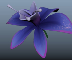 Orchid blue