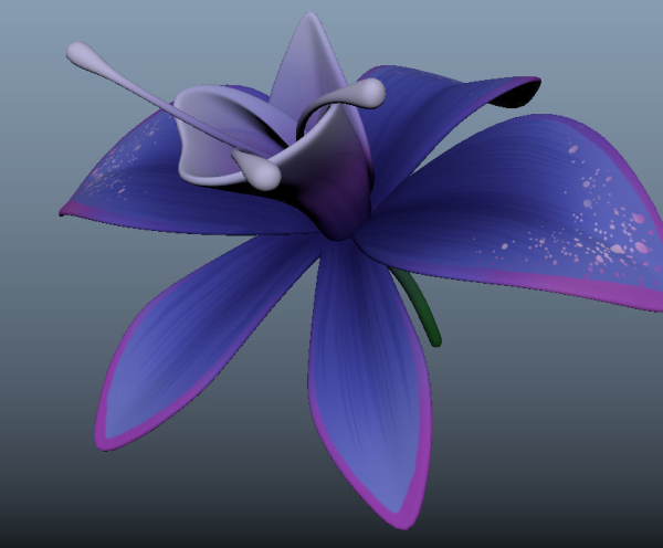 Orchid blue