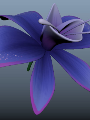 Orchid blue