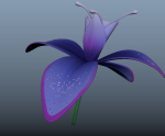Orchid blue
