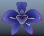 Orchid blue
