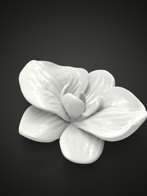 orchid-flower-3d-model-obj-fbx-stl