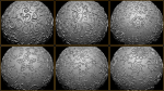 ORNAMENT BRUSHES ALPHA and 3D MODEL- VOL 01 - 02 - 03 - 04 - 05