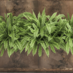 Ornamental grass in a rusty flower pot for the interior 940