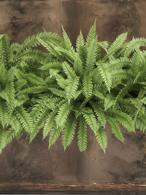 ornamental-grass-in-a-rusty-flower-pot-for-the-interior-940-3d-model-max-obj-fbx