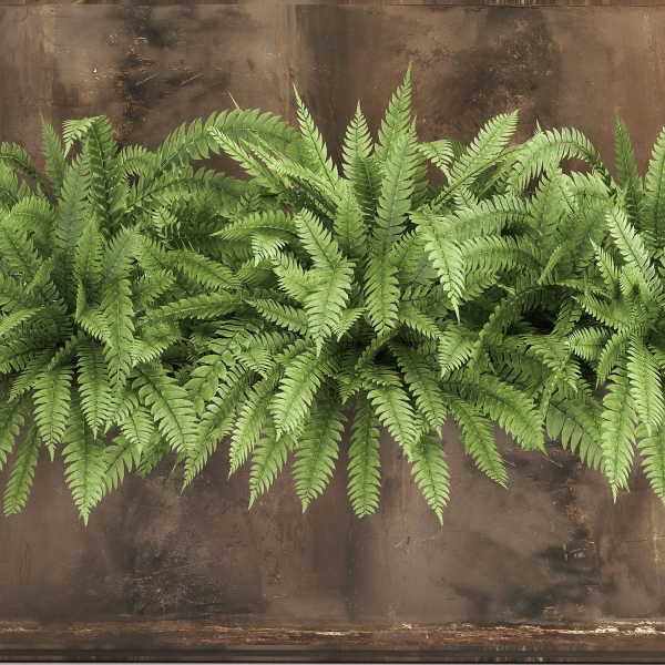 Ornamental grass in a rusty flower pot for the interior 940