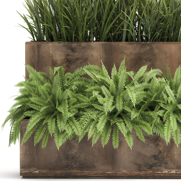 Ornamental grass in a rusty flower pot for the interior 940