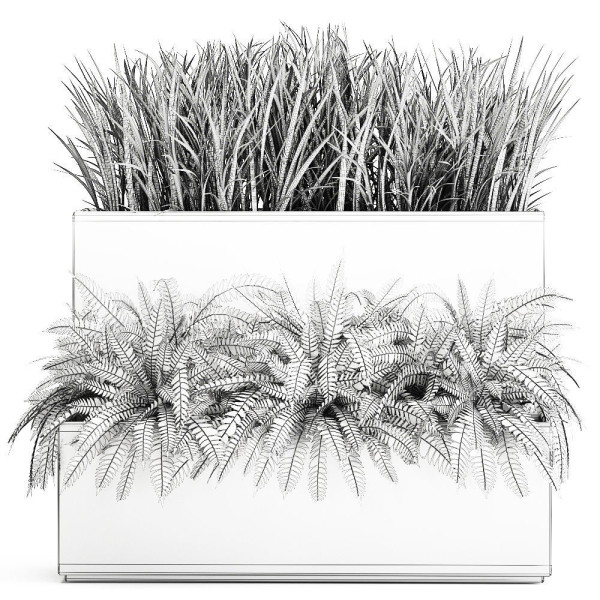 Ornamental grass in a rusty flower pot for the interior 940