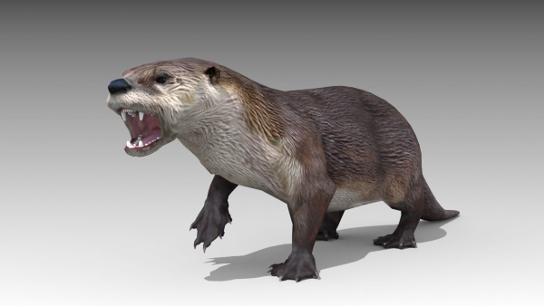 Otter