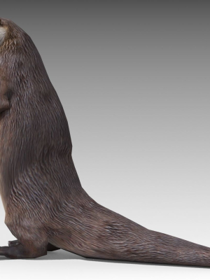 otter-3d-model-1cf0c148a7