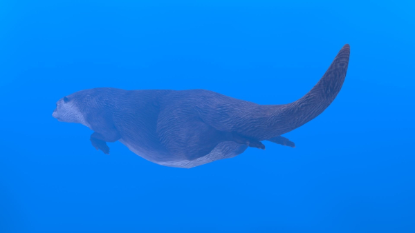 Otter
