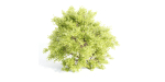 Outdoor Bushes Collection vol 89-Blender