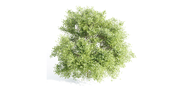 Outdoor Bushes Collection vol 89-Blender
