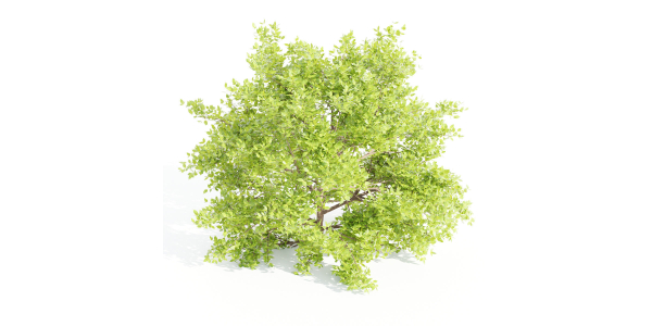 Outdoor Bushes Collection vol 89-Blender