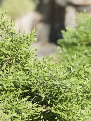outdoor-bushes-collection-vol-89-blender-3d-model-6e30152d75