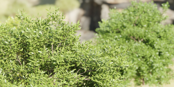 Outdoor Bushes Collection vol 89-Blender