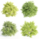 Outdoor Bushes Collection vol 89-Blender
