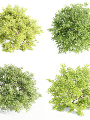 Outdoor Bushes Collection vol 89-Blender