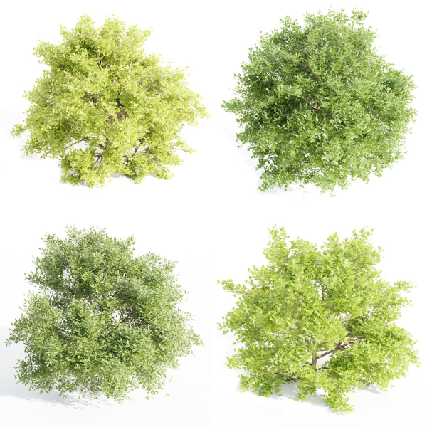 Outdoor Bushes Collection vol 89-Blender