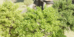 Outdoor Bushes Collection vol 89-Blender