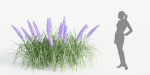 outdoor flowering bush collection vol 74-Blender