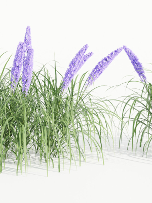 outdoor flowering bush collection vol 74-Blender