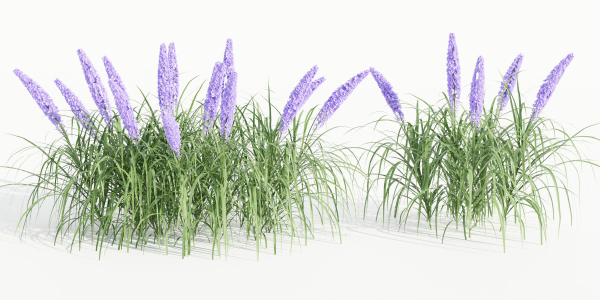 outdoor flowering bush collection vol 74-Blender