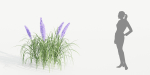 outdoor flowering bush collection vol 74-Blender