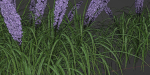 outdoor flowering bush collection vol 74-Blender