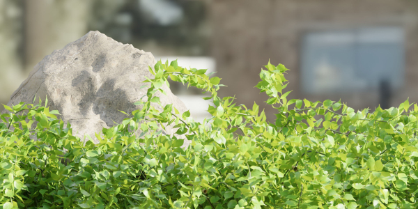 outdoor garden collection vol 73-Blender