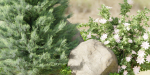 outdoor garden collection vol 73-Blender