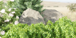 outdoor garden collection vol 73-Blender