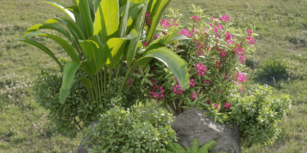 Outdoor Garden Plants Collection vol 136-Blender