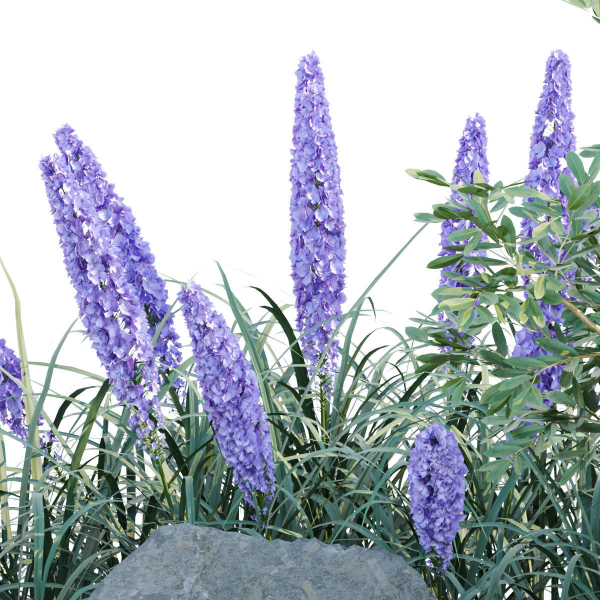 outdoor garden plants collection vol 69